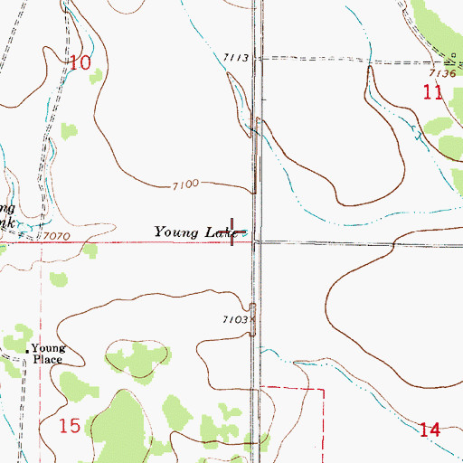 Topographic Map of Young Lake, NM