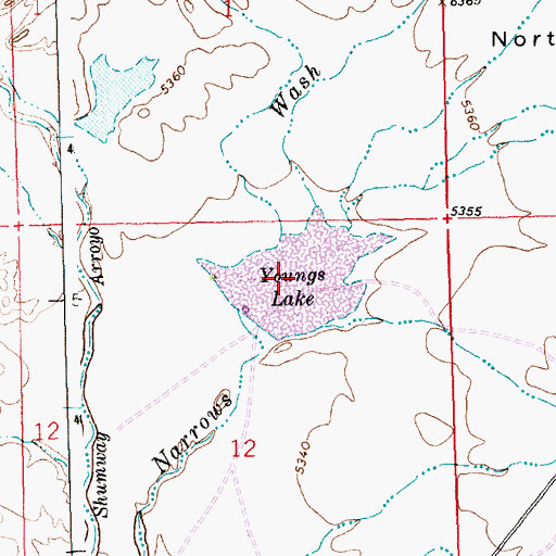 Topographic Map of Youngs Lake, NM