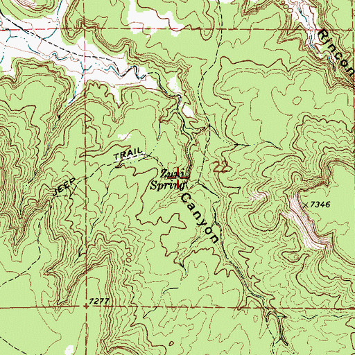 Topographic Map of Zuni Spring, NM