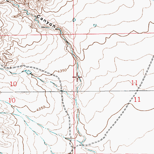 Topographic Map of Cottonwood Canyon, NM