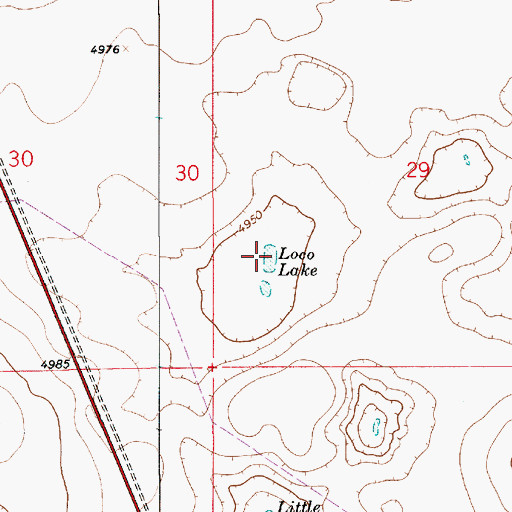 Topographic Map of Loco Tank, NM