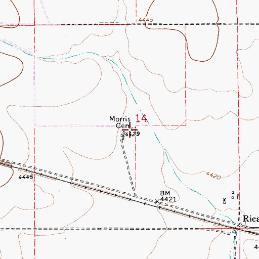 Topographic Map of Morris Cemetery, NM