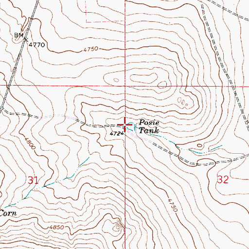 Topographic Map of Posie Tank, NM