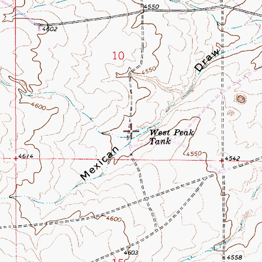 Topographic Map of West Peak Tank, NM