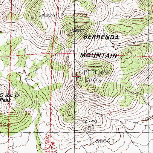 Topographic Map of Berrenda Mountain, NM