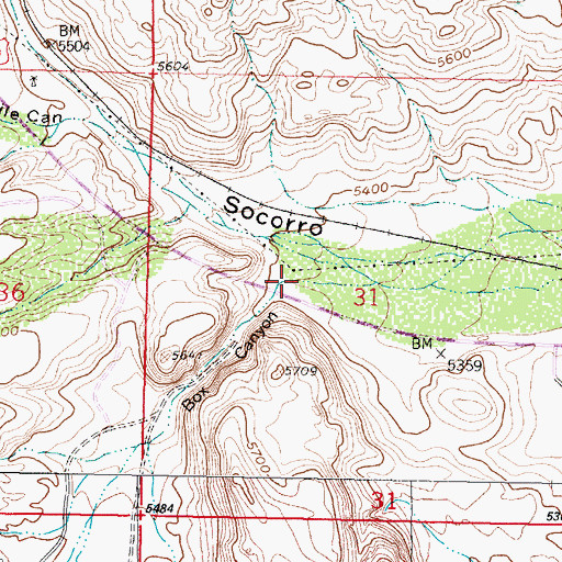 Topographic Map of Box Canyon, NM