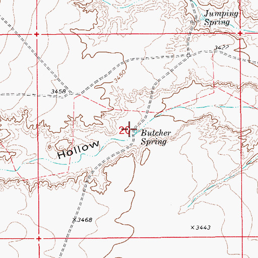 Topographic Map of Butcher Spring, NM