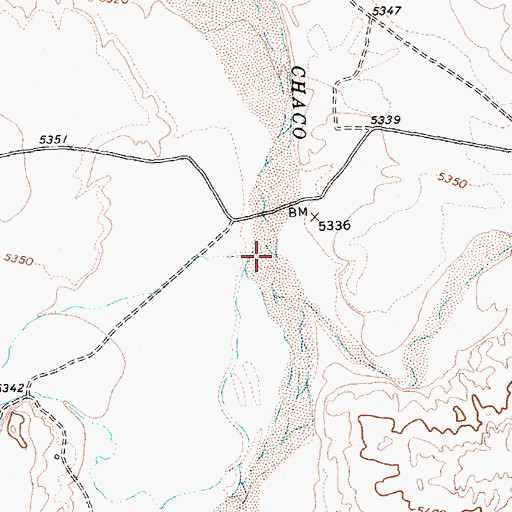 Topographic Map of Captain Tom Wash, NM