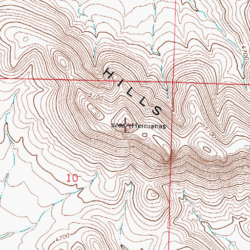 Topographic Map of Carrizalillo Hills, NM