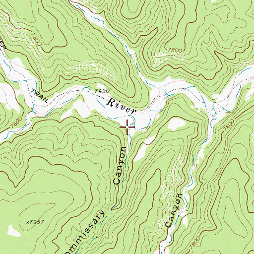Topographic Map of Commissary Canyon, NM