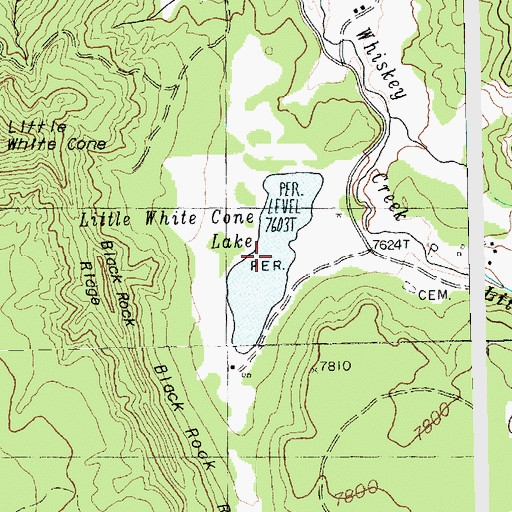 Topographic Map of Little White Cone Lake, NM