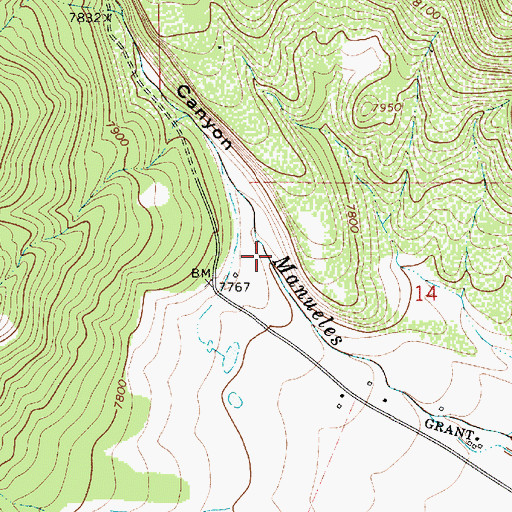Topographic Map of Manueles Canyon, NM