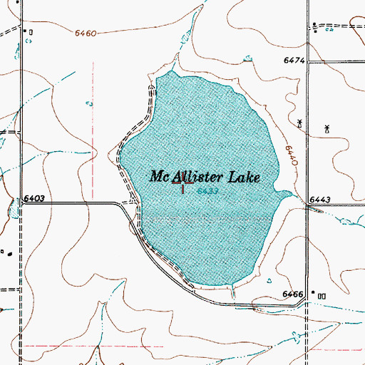 Topographic Map of McAllister Lake, NM