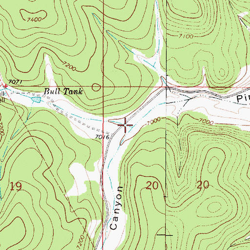 Topographic Map of North Fork Pine Tree Canyon, NM