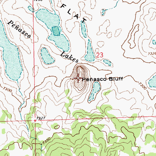 Topographic Map of Peasco Bluff, NM