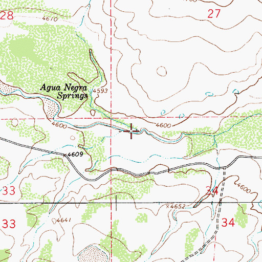 Topographic Map of Pintada Arroyo, NM