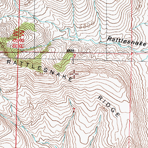 Topographic Map of Rattlesnake Ridge, NM