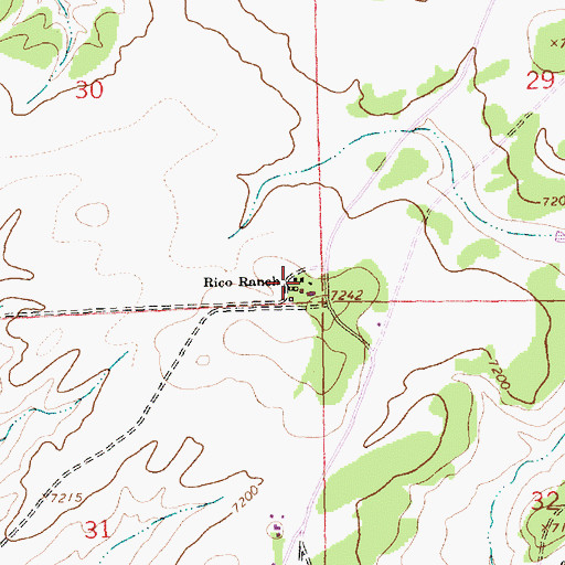 Topographic Map of Rico Ranch, NM