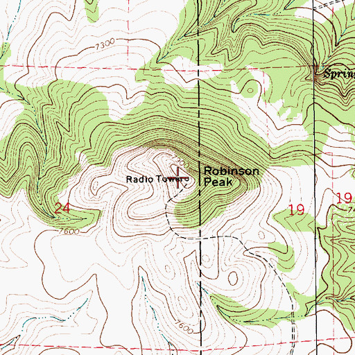 Topographic Map of Robinson Peak, NM