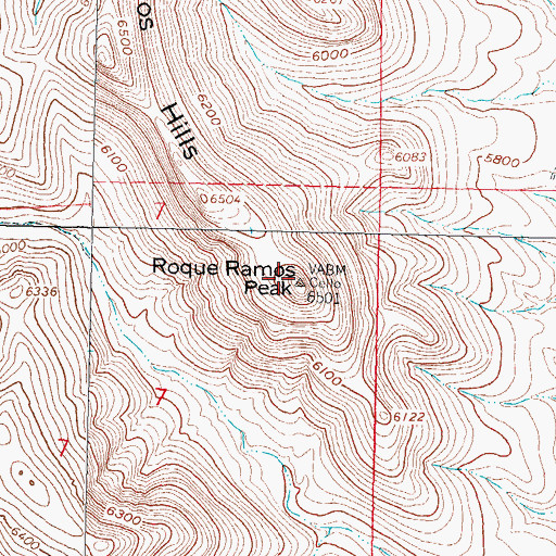 Topographic Map of Roque Ramos Peak, NM
