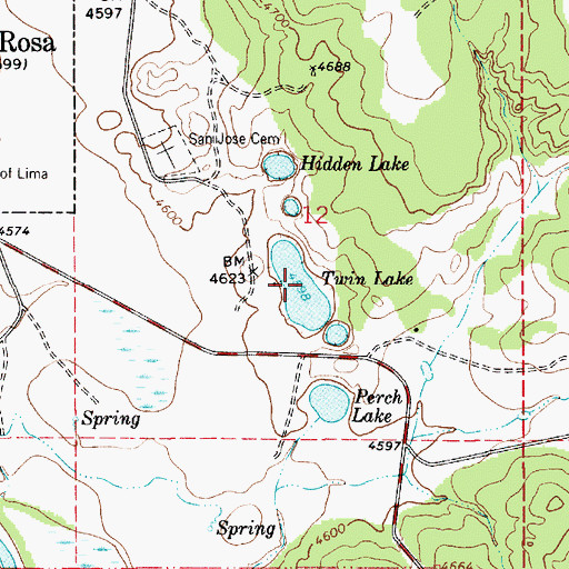 Topographic Map of Twin Lake, NM