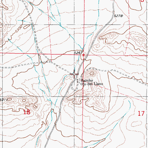 Topographic Map of Rancho Ojo del Llano, NM