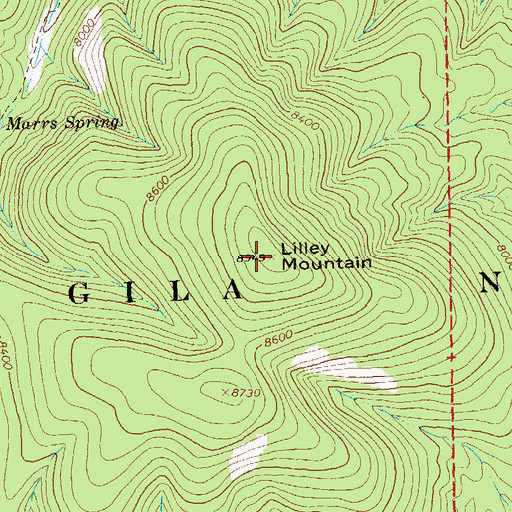 Topographic Map of Lilley Mountain, NM