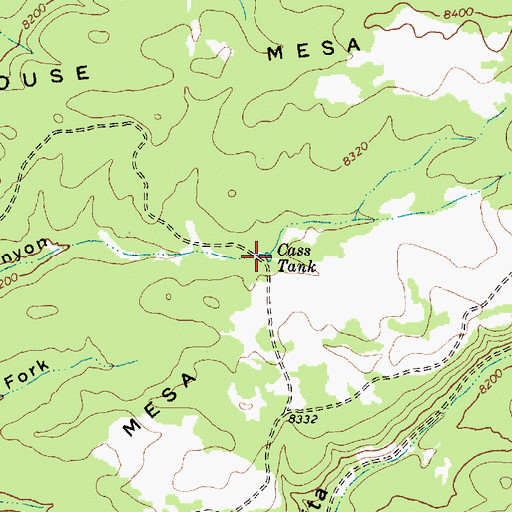 Topographic Map of Cass Tank, NM