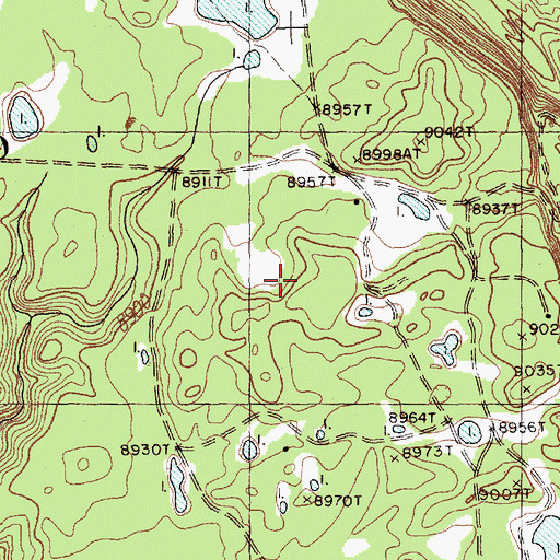Topographic Map of Dadasoa Spring, NM