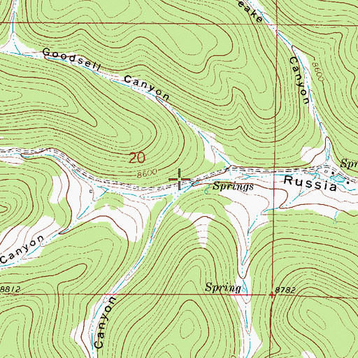 Topographic Map of Wayne Canyon, NM