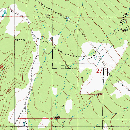 Topographic Map of Bills Canyon, NM