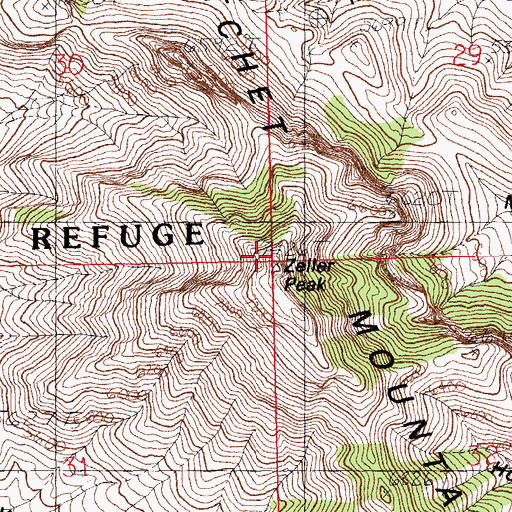 Topographic Map of Zeller Peak, NM