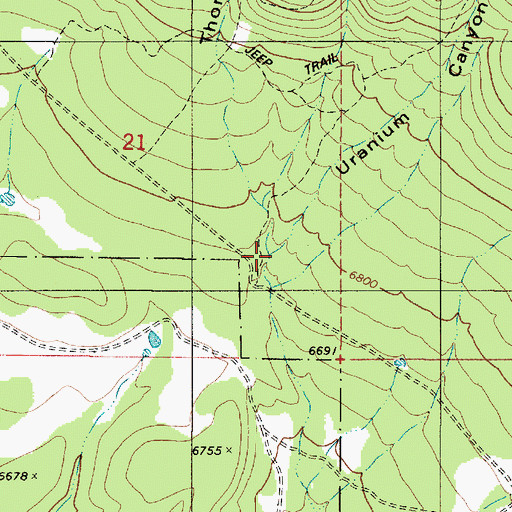 Topographic Map of Uranium Canyon, NM