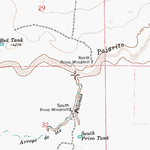 Topographic Map of Arroyo de las Palomas, NM