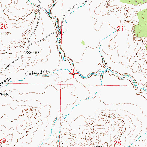 Topographic Map of Arroyo Calladito, NM