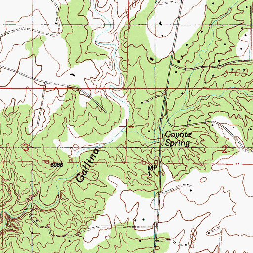 Topographic Map of Arroyo Coyote, NM