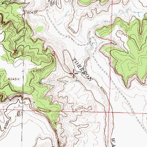 Topographic Map of Arroyo Empedrado, NM
