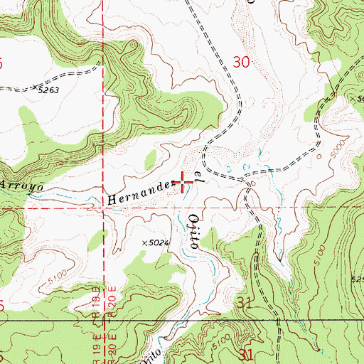 Topographic Map of Arroyo Hernandez, NM
