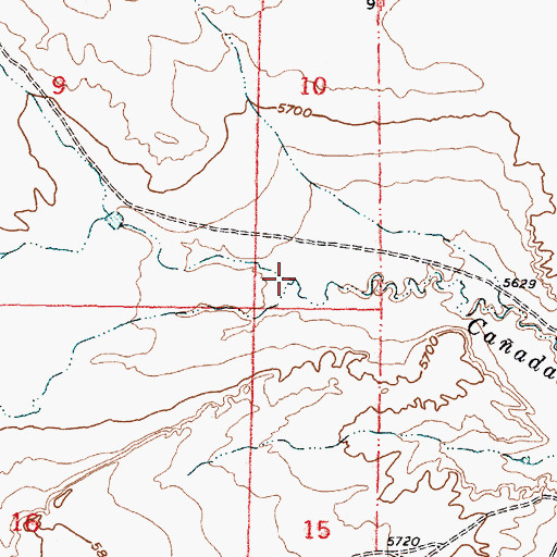 Topographic Map of Arroyo Nine, NM