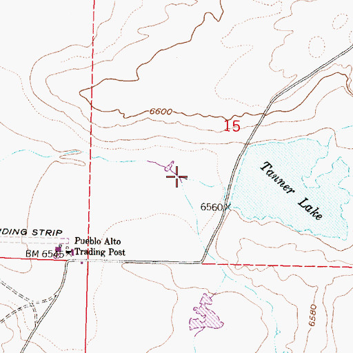 Topographic Map of Arroyo Pueblo Alto, NM
