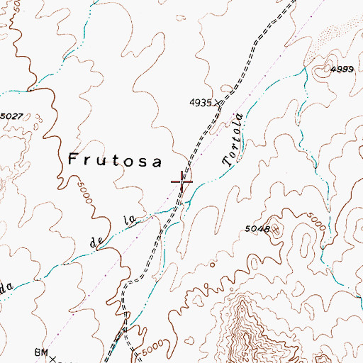 Topographic Map of Arroyo Rendija, NM