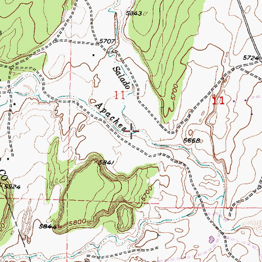 Topographic Map of Arroyo Salado, NM