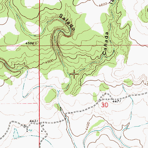 Topographic Map of Caada la Calosa, NM