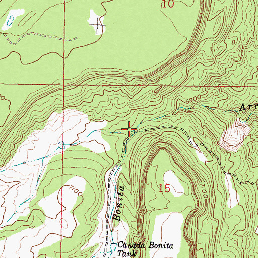 Topographic Map of Canada Bonita, NM