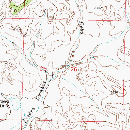 Topographic Map of Caada Cebo, NM