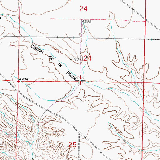 Topographic Map of Caon de la Plata, NM