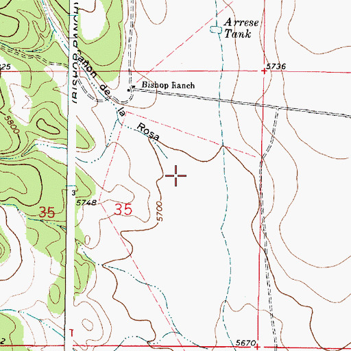 Topographic Map of Caon de la Rosa, NM
