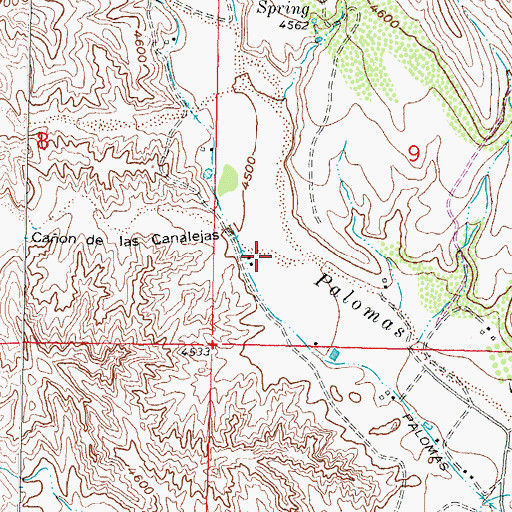 Topographic Map of Canon de las Caalejas, NM