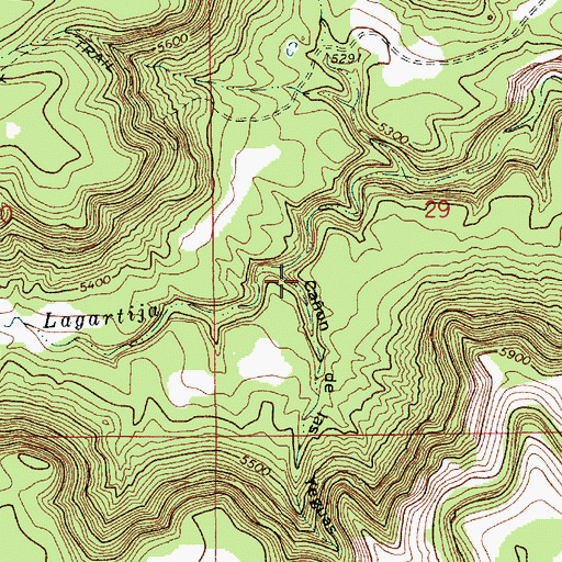 Topographic Map of Caon de las Yeguas, NM