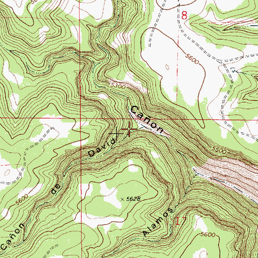 Topographic Map of Caon de David, NM